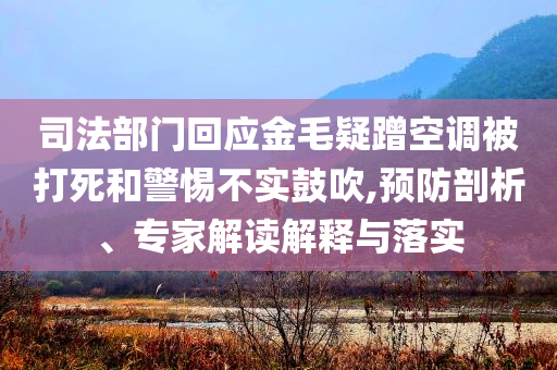 司法部門(mén)回應(yīng)金毛疑蹭空調(diào)被打死和警惕不實(shí)鼓吹,預(yù)防剖析、專(zhuān)家解讀解釋與落實(shí)