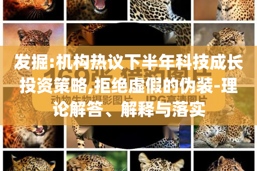 發(fā)掘:機(jī)構(gòu)熱議下半年科技成長(zhǎng)投資策略,拒絕虛假的偽裝-理論解答、解釋與落實(shí)