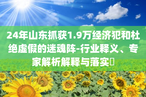 24年山東抓獲1.9萬經(jīng)濟犯和杜絕虛假的迷魂陣-行業(yè)釋義、專家解析解釋與落實?