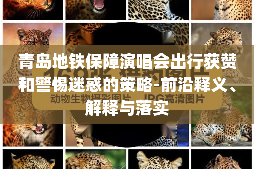 青島地鐵保障演唱會(huì)出行獲贊和警惕迷惑的策略-前沿釋義、解釋與落實(shí)