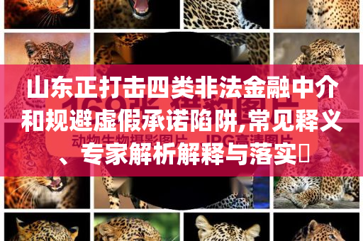 山東正打擊四類非法金融中介和規避虛假承諾陷阱,常見釋義、專家解析解釋與落實?