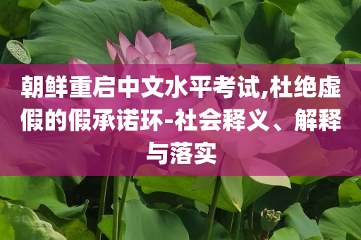 朝鮮重啟中文水平考試,杜絕虛假的假承諾環-社會釋義、解釋與落實