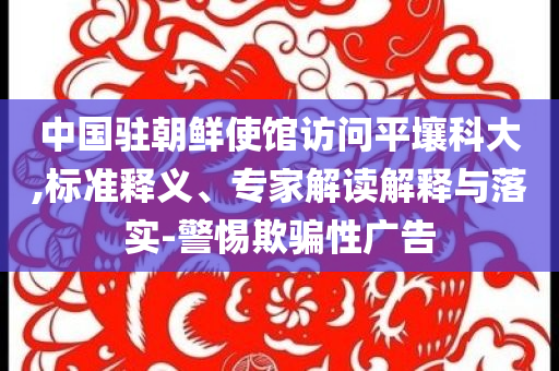 中國駐朝鮮使館訪問平壤科大,標準釋義、專家解讀解釋與落實-警惕欺騙性廣告