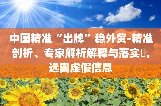 中國精準“出牌”穩外貿-精準剖析、專家解析解釋與落實?,遠離虛假信息