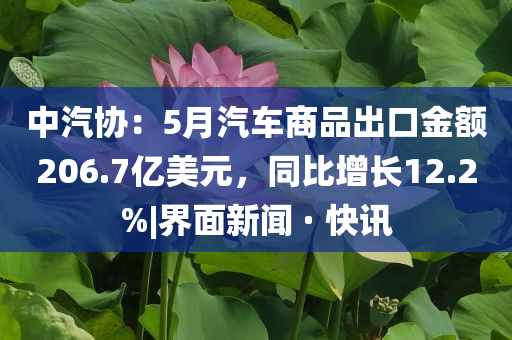 中汽協：5月汽車商品出口金額206.7億美元，同比增長12.2%|界面新聞 · 快訊