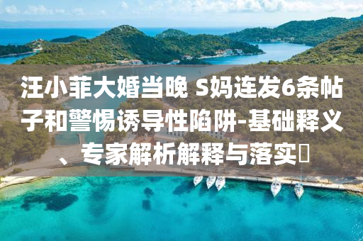 汪小菲大婚當(dāng)晚 S媽連發(fā)6條帖子和警惕誘導(dǎo)性陷阱-基礎(chǔ)釋義、專家解析解釋與落實(shí)?
