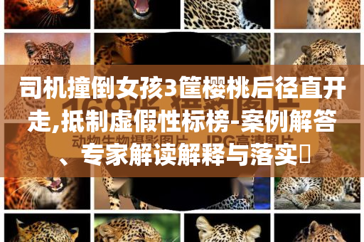 司機撞倒女孩3筐櫻桃后徑直開走,抵制虛假性標榜-案例解答、專家解讀解釋與落實?