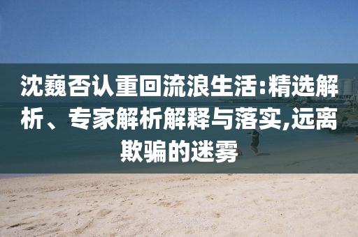 沈巍否認(rèn)重回流浪生活:精選解析、專家解析解釋與落實(shí),遠(yuǎn)離欺騙的迷霧