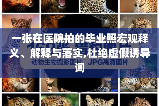一張在醫(yī)院拍的畢業(yè)照宏觀釋義、解釋與落實,杜絕虛假誘導詞