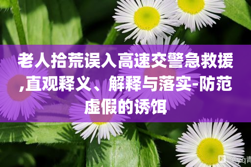 老人拾荒誤入高速交警急救援,直觀釋義、解釋與落實-防范虛假的誘餌