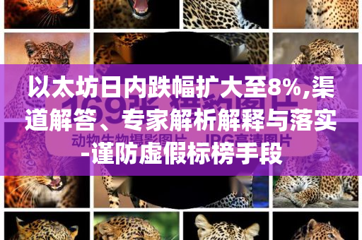 以太坊日內(nèi)跌幅擴大至8%,渠道解答、專家解析解釋與落實-謹防虛假標榜手段