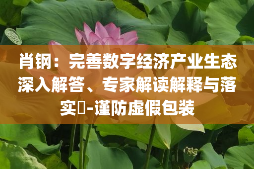 肖鋼：完善數(shù)字經(jīng)濟(jì)產(chǎn)業(yè)生態(tài)深入解答、專家解讀解釋與落實(shí)?-謹(jǐn)防虛假包裝