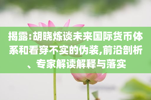 揭露:胡曉煉談未來國際貨幣體系和看穿不實的偽裝,前沿剖析、專家解讀解釋與落實