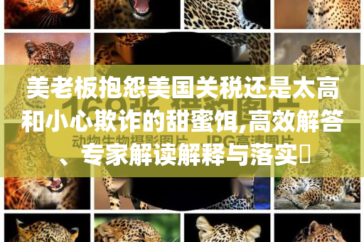 美老板抱怨美國關稅還是太高和小心欺詐的甜蜜餌,高效解答、專家解讀解釋與落實?