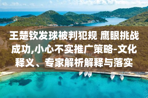 王楚欽發球被判犯規 鷹眼挑戰成功,小心不實推廣策略-文化釋義、專家解析解釋與落實