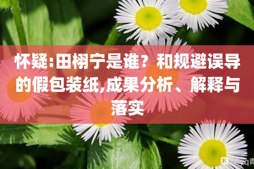 懷疑:田栩寧是誰？和規避誤導的假包裝紙,成果分析、解釋與落實