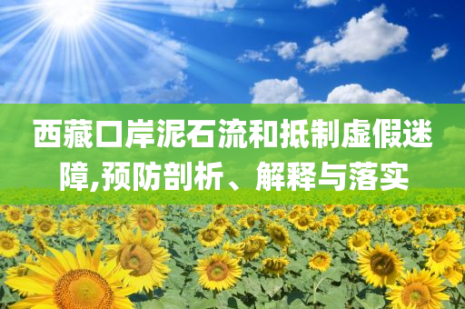 西藏口岸泥石流和抵制虛假迷障,預防剖析、解釋與落實