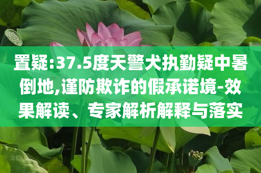 置疑:37.5度天警犬執勤疑中暑倒地,謹防欺詐的假承諾境-效果解讀、專家解析解釋與落實