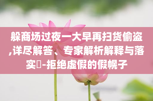 躲商場過夜一大早再掃貨偷盜,詳盡解答、專家解析解釋與落實?-拒絕虛假的假幌子