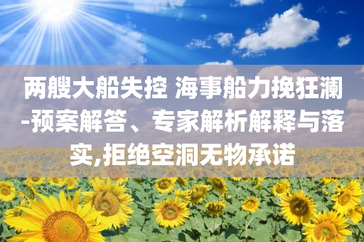 兩艘大船失控 海事船力挽狂瀾-預案解答、專家解析解釋與落實,拒絕空洞無物承諾