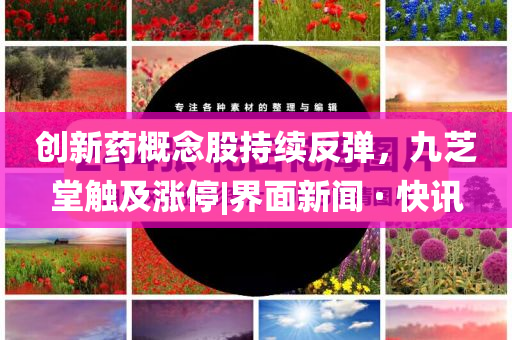 創新藥概念股持續反彈，九芝堂觸及漲停|界面新聞 · 快訊