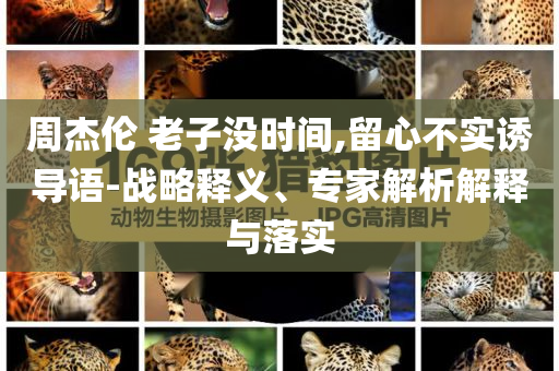 周杰倫 老子沒時間,留心不實誘導語-戰略釋義、專家解析解釋與落實