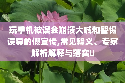 玩手機被誤會崩潰大喊和警惕誤導的假宣傳,常見釋義、專家解析解釋與落實?