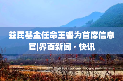 益民基金任命王睿為首席信息官|界面新聞 · 快訊