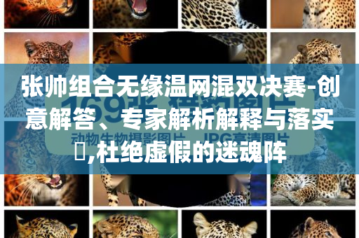張帥組合無緣溫網(wǎng)混雙決賽-創(chuàng)意解答、專家解析解釋與落實?,杜絕虛假的迷魂陣
