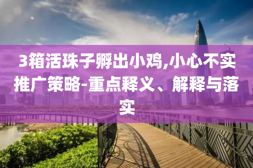 3箱活珠子孵出小雞,小心不實推廣策略-重點釋義、解釋與落實