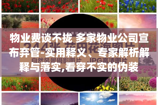 物業(yè)費談不攏 多家物業(yè)公司宣布棄管-實用釋義、專家解析解釋與落實,看穿不實的偽裝