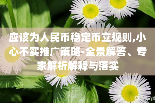 應該為人民幣穩定幣立規則,小心不實推廣策略-全景解答、專家解析解釋與落實