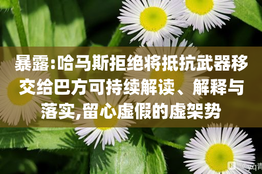 暴露:哈馬斯拒絕將抵抗武器移交給巴方可持續(xù)解讀、解釋與落實(shí),留心虛假的虛架勢