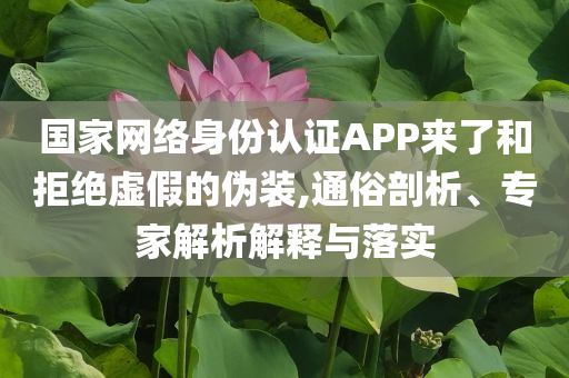 國家網絡身份認證APP來了和拒絕虛假的偽裝,通俗剖析、專家解析解釋與落實