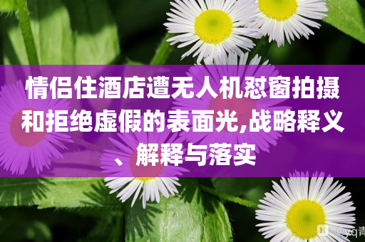 情侶住酒店遭無人機懟窗拍攝和拒絕虛假的表面光,戰略釋義、解釋與落實