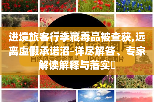 進境旅客行李藏毒品被查獲,遠離虛假承諾沼-詳盡解答、專家解讀解釋與落實?