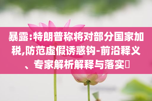 暴露:特朗普稱將對部分國家加稅,防范虛假誘惑鉤-前沿釋義、專家解析解釋與落實?