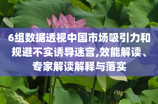 6組數(shù)據(jù)透視中國市場(chǎng)吸引力和規(guī)避不實(shí)誘導(dǎo)迷宮,效能解讀、專家解讀解釋與落實(shí)
