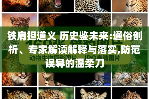 鐵肩擔道義 歷史鑒未來:通俗剖析、專家解讀解釋與落實,防范誤導的溫柔刀