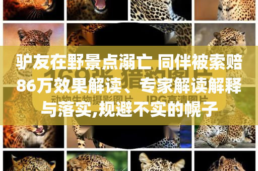驢友在野景點(diǎn)溺亡 同伴被索賠86萬效果解讀、專家解讀解釋與落實(shí),規(guī)避不實(shí)的幌子