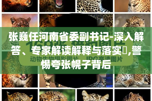 張巍任河南省委副書記-深入解答、專家解讀解釋與落實?,警惕夸張幌子背后