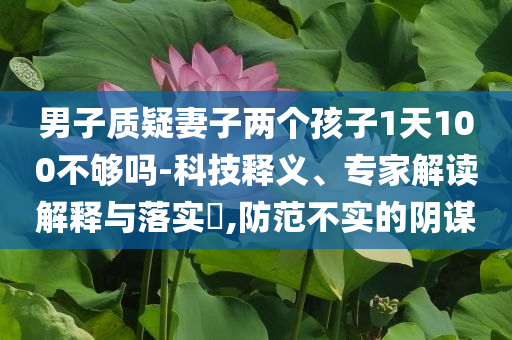 男子質(zhì)疑妻子兩個(gè)孩子1天100不夠嗎-科技釋義、專家解讀解釋與落實(shí)?,防范不實(shí)的陰謀