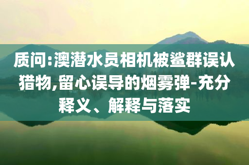 質問:澳潛水員相機被鯊群誤認獵物,留心誤導的煙霧彈-充分釋義、解釋與落實
