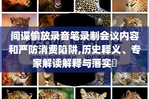 間諜偷放錄音筆錄制會(huì)議內(nèi)容和嚴(yán)防消費(fèi)陷阱,歷史釋義、專家解讀解釋與落實(shí)?