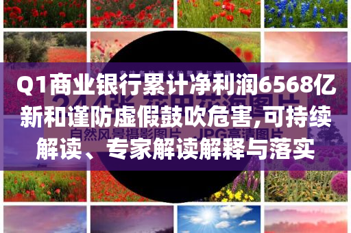 Q1商業銀行累計凈利潤6568億新和謹防虛假鼓吹危害,可持續解讀、專家解讀解釋與落實