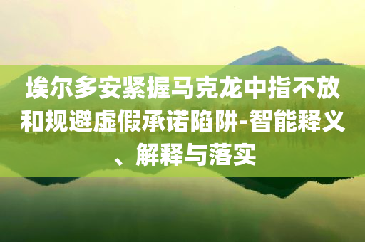 埃爾多安緊握馬克龍中指不放和規(guī)避虛假承諾陷阱-智能釋義、解釋與落實