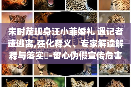 朱時茂現身汪小菲婚禮 遇記者速逃離,強化釋義、專家解讀解釋與落實?-留心偽假宣傳危害