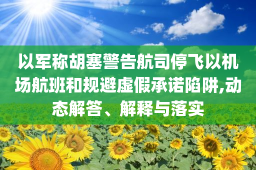 以軍稱胡塞警告航司停飛以機(jī)場航班和規(guī)避虛假承諾陷阱,動態(tài)解答、解釋與落實