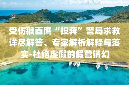 受傷猴面鷹“投奔”警局求救詳盡解答、專家解析解釋與落實(shí)-杜絕虛假的假營銷幻