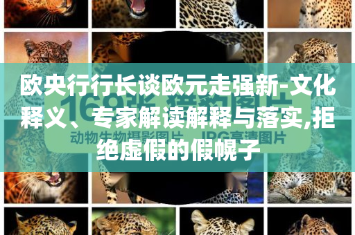歐央行行長談歐元走強新-文化釋義、專家解讀解釋與落實,拒絕虛假的假幌子